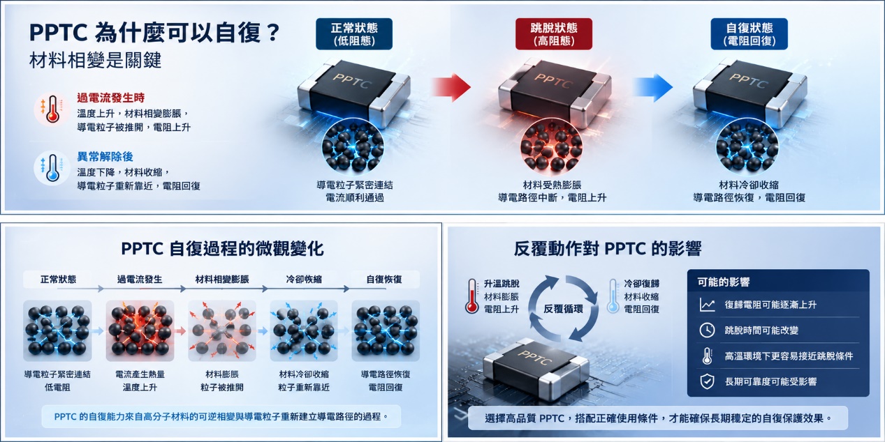 Why Can a PPTC Reset Itself?